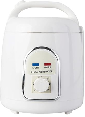 RoaQinFo Sauna Steamer Machine Générateur Vapeur Sauna Accessoire Compact Pot Portable pour Spa Minuterie Réglable Matériau PP Adapté à Détente Maison Relaxati