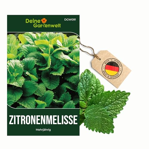 Zitronenmelisse Samen - Melissa officinalis - Zitronenmelissesamen - Kräutersamen - Saatgut für 150 Pflanzen – 3er Pack
