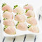 Semi Di Fragola 100Pcs Semi Di Fragole Fragole Bianche Dolci E Deliziose Seme