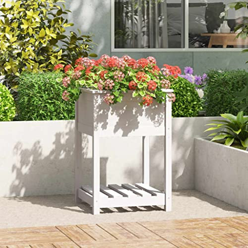 FOZICV Jardinière de jardin avec étagère - Blanc - 54 x 54 x 81 cm - En bois de pin massif - Potager surélevé ergonomique - Hauteur de travail optimale - Grand espace de stockage et plantation de