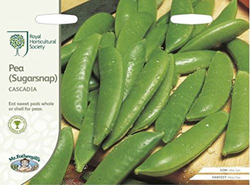 Mr Fothergills - Vegetable - RHS Pea (Sugarsnap) Cascadia - 250 Seeds