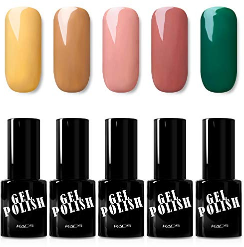 Alexnailart Conjunto de esmalte de uñas de gel ultravioleta con herramientas de diseño de uñas de gel de 5 colores para todas las estaciones