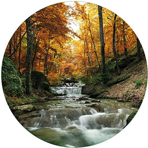 Wallario Glasbild rund Kleiner Bach über Steine im Herbstwald - Rund, 50 cm Durchmesser Wandbild Glas in Premium-Qualität: Brillante Farben, freischwebende Optik