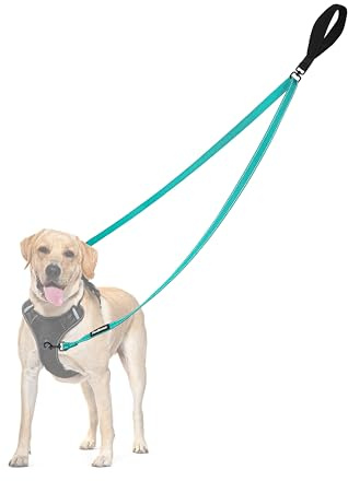 PetBonus Laisse Anti-Traction pour Chien, Double Laisse Anti-Traction réfléchissant, pour l'entraînement et la Marche, pour Chiens de Grande Taille et Moyenne (Turquoise)