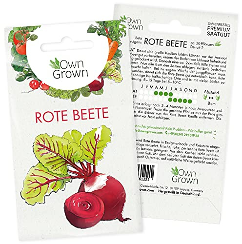 Premium Rote Bete Samen zum Anbau von ca. 50 Rote Beete Pflanzen – Samenfeste Gemüse Samen – Rote Beete Saatgut – Gemüse Pflanzen Samen für Anzucht von OwnGrown