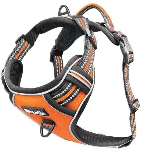 bluzelle Hundegeschirr für große Hunde, Reflektierendes Brustgeschirr mit Griff & Tasche für GPS Tracker, Anti-Zug Hundeweste Hund-Warnweste, Atmungsaktiv Reflektor-Gurte, XL, Orange