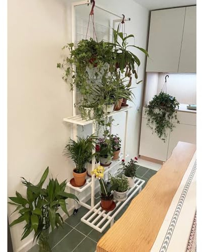 Support pour plantes d'intérieur et d'extérieur, échelle à 2 ou 3 niveaux pour pots de fleurs, présentoir plantes de fenêtre, étagère de rangement d'angle pour pots fleurs multiples pour balcon jardin