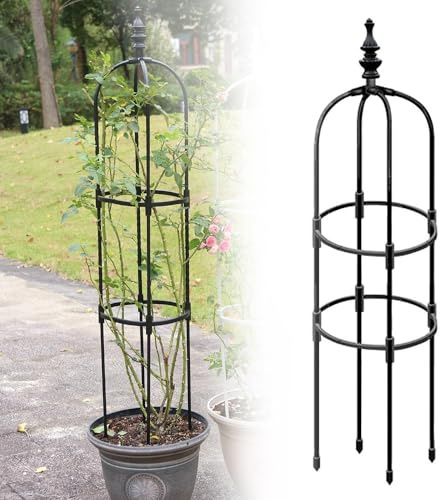 Treillis de jardin réglable en métal 60 x 180 cm pour grimper des vignes et des fleurs - Design élégant noir - Support robuste pour intérieur et extérieur - 28 x 180 cm