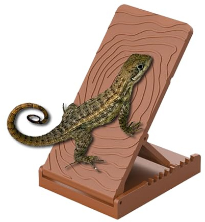 Reptiler, solplats, terrarium, solsten, skifferplatta för Gecko | Terrarietillbehör för reptilälskare med viloplats, lekområde och utfodringszon för ödlor, geckos och ormar