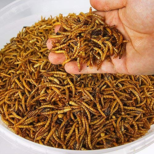 GardenersDream Dried Mealworms | Premium Garden Wild Bird Food Mix Balanced Formula | Protein-Rich Great Source of Energy | Contains Beneficial Mixed Vitamins | Large Variety (1L Tub)