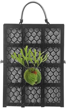 Kit de montaje de helecho Cuerno de - tabla colgante de helecho Cuerno de | Soporte de planta colgante vertical | Tablero de soporte de plantas duraderas para orquídeas y plantas de