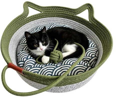 Décoration de d'Halloween - Lampe de bureau effrayante en résine | Panier rond pour animal de compagnie, lit pour chat pour l'intérieur, la maison, le salon, le balcon, l'extérieur, la cour