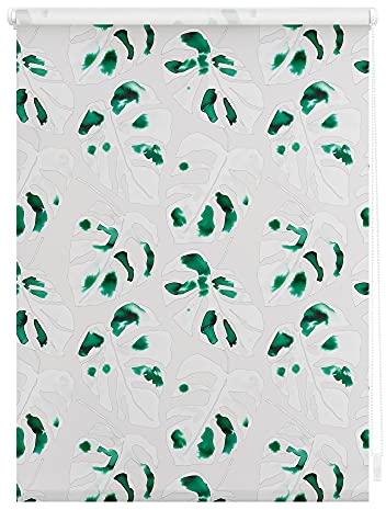 Lichtblick Klemmfix Tageslicht-Rollo mit Motiv, ohne Bohren, Blickdicht, Seitenzugrollo, Made in Germany, Julia Schumacher Monstera - Grün 80 cm x 150 cm (B x L)