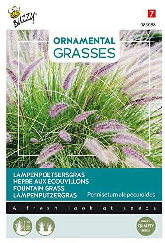Buzzy Ornamental Grasses - Hierba limpiadora para lámparas