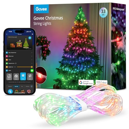 Govee RGBIC Luci Natalizie per Esterni 10M, Ghirlanda di Luci di Halloween Decorazione Natalizia per Interni, Luci LED 100 Luci LED, Più di 125 Modalità Scena, Impermeabile IP65, Compatibilità Alexa