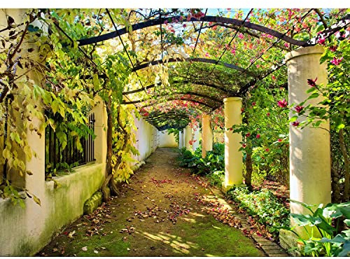 Runa Art Fototapete Garten Natur Modern Vlies Wohnzimmer Schlafzimmer - Made in Germany - 308 x 220 cm Grün 9003010a