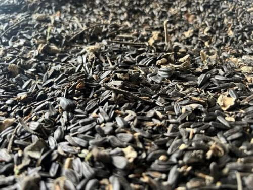 Streufutter Vogelfutter Ausputz! von Sonnenblumenkernen 25 kg Ausputz aus der Layenmühle