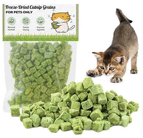 Katzengras Snack, 60g Katzengras Sticks Gefriergetrocknet Snacks für Katzen für die Zahnpflege und Haarknäuel Entfernen, Katzenminze