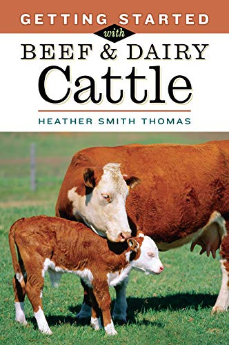 Getting Started With Beef & Dairy Cattle