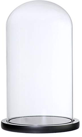 PETSOLA Cupola di Cristallo Decorativa Vaso di Fiori in Vetro Base Vaso di Micro Paesaggio, Nero G