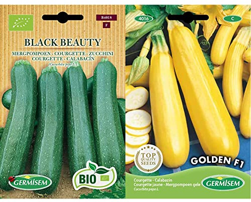 Germisem Zucchini BLACK BEAUTY, ECBIO4018 & Zucchini GOLDEN F1, mehrfarbig, EC4016