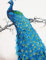 Diamond Dotz Blue Peacock DD13.012