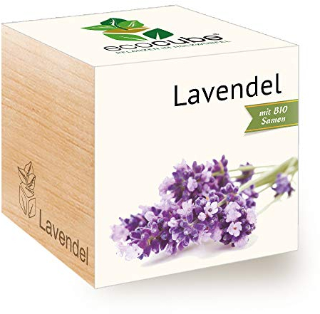 Feel Green Ecocube Lavendel, Bio Samen, Nachhaltige Geschenkidee (100% Eco Friendly), Grow Your Own/Anzuchtset, Pflanzen Im Holzwürfel, Made in Austria