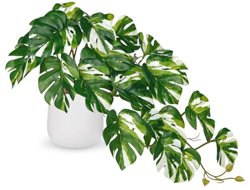 Hollyone Plantes artificielles dans un pot en céramique blanche, Tropical Monstera Plantes décoratives en pot, plantes artificielles comme de vraies plantes d'intérieur avec pots pour décoration de