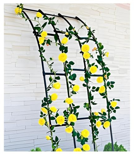 Treillis en métal pour plantes grimpantes, support mural extérieur pour fleurs, design demi-arche, assemblage facile pour jardin, tonnelle, pelouse, terrasse, arrière-cour