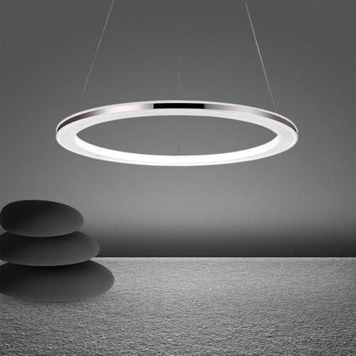 Quevia-Eletro LED Pendelleuchte Kronleuchter Ring Wohnzimmer Esstischlampe Dimmbar Fernbedienung Moderne Hängeleuchte Deckenleuchte Schlafzimmer Pendellampe Silber Edelstahl Höhenverstehbar,12W,Φ30cm