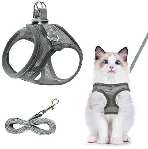 Imbracatura traspirante per gatti – regolabile con guinzaglio e anti-rottura, riflettente all'aperto (XXS, gatto, grigio)