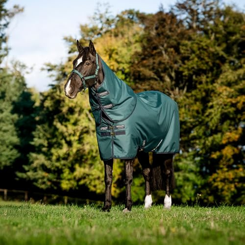 Horseware Amigo Ripstop 900D Plus Turnout 100g Decke Dynasty Green/Navy & Silver, Deckengröße:160 cm / 7´0