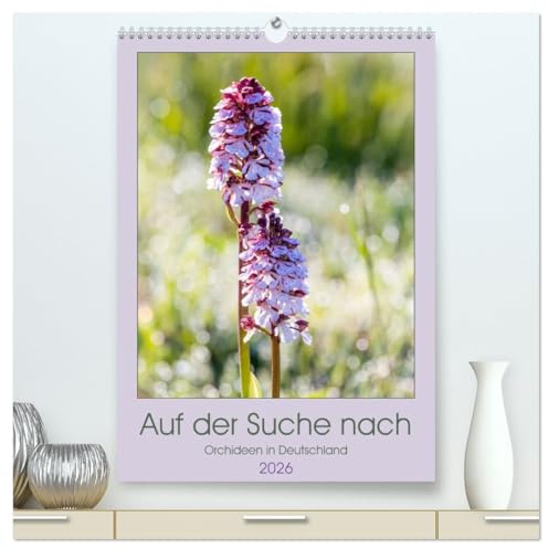 Auf der Suche nach Orchideen in Deutschland (hochwertiger Premium Wandkalender 2026 DIN A2 hoch), Kunstdruck in Hochglanz: Welche Orchideen sind in der eigenen Heimat finden (CALVENDO Natur)