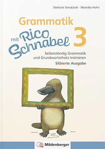 Grammatik mit Rico Schnabel, Klasse 3 - silbierte Ausgabe: Selbstständig Grammatik und Grundwortschatz trainieren (Rico Schnabel Deutsch)
