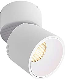 Foco de Techo para Interiores, lámpara LED de 12 W, lámpara de Acento, luz de Techo Ajustable, focos direccionales giratorios de Montaje en Superficie, luminaria de Techo Moderna de Aluminio.