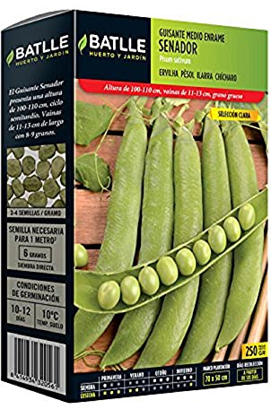 Semillas Batlle 020106G250