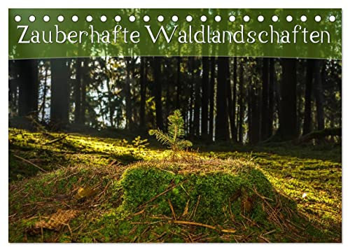 Zauberhafte Waldlandschaften (Tischkalender 2024 DIN A5 quer), CALVENDO Monatskalender: Traumhafte Landschaftsaufnahmen aus deutschen Wäldern (CALVENDO Natur)