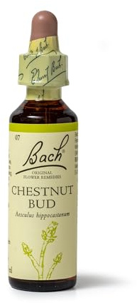 Bach Original Flower Remedies Chestnut Bud, Live The Day, Learn From Mistakes, Emotional Wellness, Natural Flower Essence, 20ml