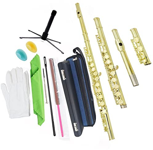 C-Flöte Mit 16 Tasten, Geschlossenes Loch, Anfänger, Schüler, Querflöte, Mit Reinigungsset, Handschuhhalter Querflöte Anfänger (Color : Gold)