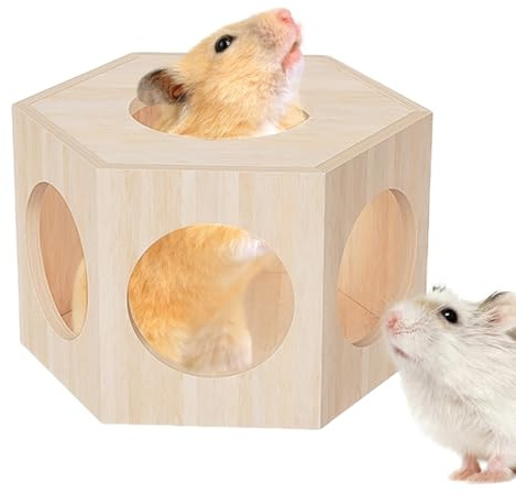 Hamster Hide Out en Bois - Maison pour Petits Animaux | Accessoires Habitat Petits Animaux Décor Cage Labyrinthe pour Cochon D Inde Lémuriens Nains Souris Chinchilla