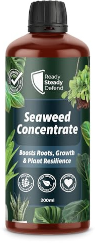 Seaweed Concentrate 200ml | Organic Ascophyllum Nodosum Seaweed Extract Plant Food | Liquid Fertiliser & Foliar Feed for Indoor & Outdoor Plants | Boosts Roots, Growth, Resilience | Makes Up to 20L UK