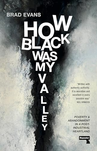 How Black Was My Valley: Poverty and Abandonment in Post-Industrial Wales