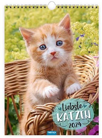 Trötsch Classickalender Liebste Katzen 2024: Wandkalender
