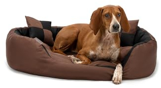 lionto Hundebett 4-in-1 mit Wendekissen aus robustem Oxford, 85x70 cm, Heimtierkissen Kratzfest mit tiefem Einstieg für Katzen und Hunde Aller Größen, inkl. Zierkissen, wasserabweisend, schwarz/braun