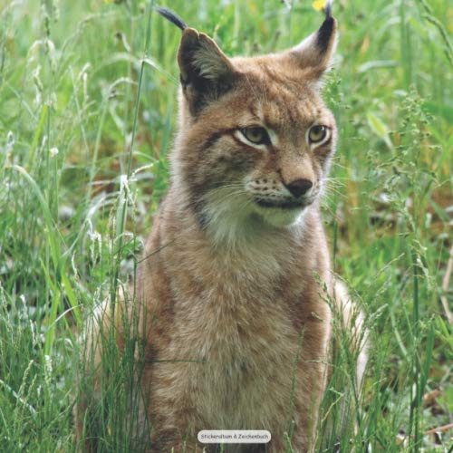 Stickeralbum & Zeichenbuch: Luchs Motiv |Quadratisches 21x21cm Format, Blanko | 100 Seiten Silikonfreies Papier | verwendbar als Stickeralbum, ... Malbuch, Kritzelbuch | Geschenkidee