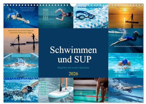 Schwimmen und SUP Begleitet mit coolen Sprüchen (Wandkalender 2026 DIN A3 quer), CALVENDO Monatskalender: Bleibe fit! (CALVENDO Sport)