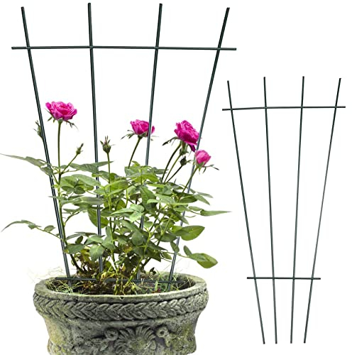 WIVAYE 3Pack Iron Garden Trellis for Climbing Plants,15.7in Tall Fan-Shaped Plant Support Trellis, Decorative Ladder Trellises Rustproof Black Coated Metal Plant Trellis for Potted Climbing Plants