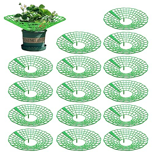 Aimeke 15 Piezas Rejillas para Soporte de Fresa, Removible Soportes para Plantas de Fresa, Soporte de Planta Plástico Marco Plantación para Evitar Que Las Fresas Verduras Flores Plantas se Pudran