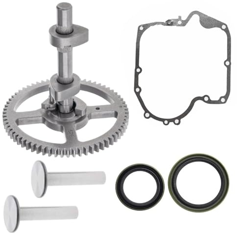 Ewillownm Compatible avec arbre à cames 793880 pour Briggs & Stratton 793583 792681 791942 795102 Kit d'arbre à cames avec joint 697110, joint d'huile 795387