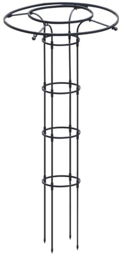 Staudenhalter, Ranksäule für Kletterpflanzen, Freistehend Rankhilfe für Rosen Kletterpflanzen Wetterfest(150CM)